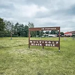 Black Hole *